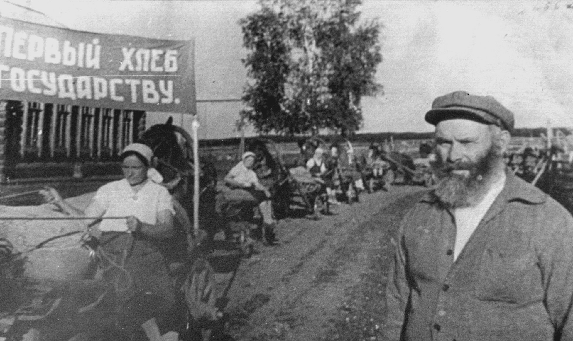 В послевоенное время по плану крестьянам необходимо было сдавать говядину